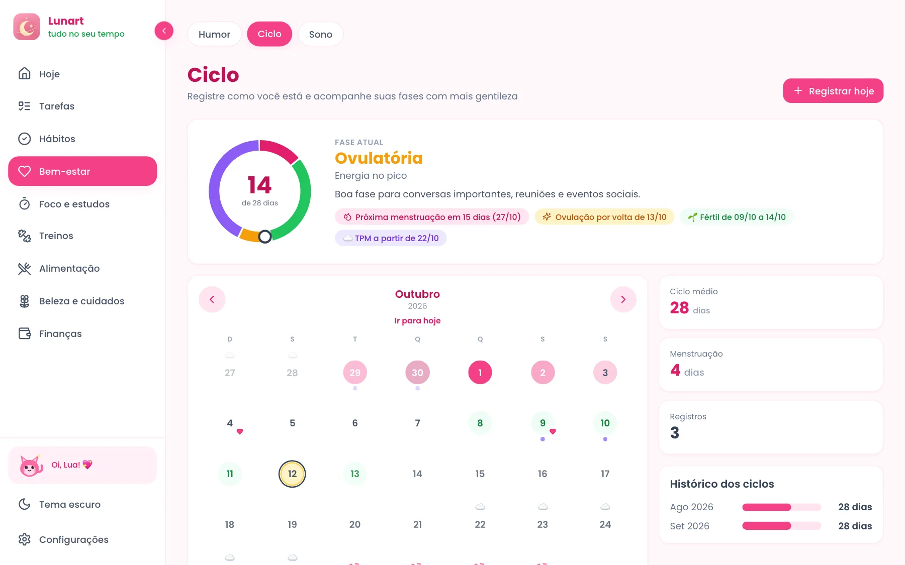 Tela de Ciclo no computador